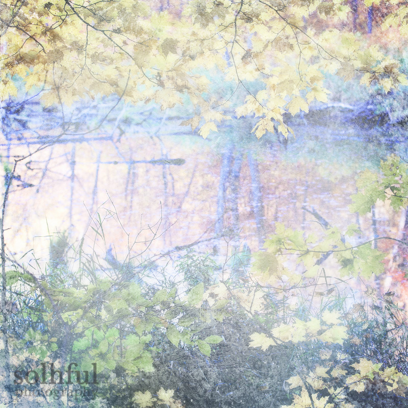 Autumn Wonderland Colorful Leaves and Water Reflection Art Photography, 12x12 Print